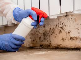 Best Residential Mold Inspection & Testing  in Atascocita, TX